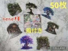 nene様　フェアリーフォレストPETステッカー50枚　箱付き