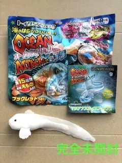 マリアナスネイルフィッシュ オーシャンアタック&co. ビッグ