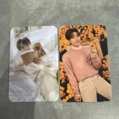 SEVENTEEN Your Choice インドネシア ディノ