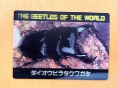 THE BEETLESOFTHE WORLDダイオウヒラタクワガタ カード　3D