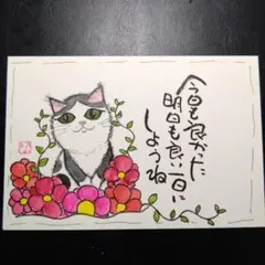 手書き筆文字アート ポストカード 猫