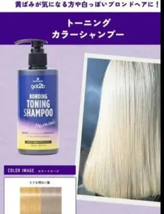 got2bトーニングカラーシャンプーa ムラサキのサムネイル