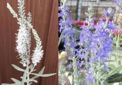 PIKA様 リクエスト 6点 まとめ商品