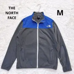 Item thumbnail for item f29c301e-5abc-4aff-9c36-aea27f433573