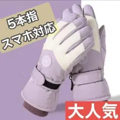 紫 手袋 防水 防寒 タッチパネル対応 スマホ対応 スノーグローブ スノボ 通学