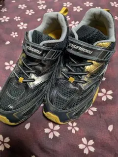 Item thumbnail for item b9b91f8c-9c61-47d9-8fcd-2f05ccc23e46