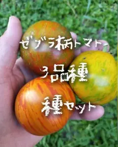 クマちゃんラブ様 リクエスト 2点 まとめ商品