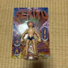 ストレッチニシキド 錦戸亮 グッズ - メルカリ