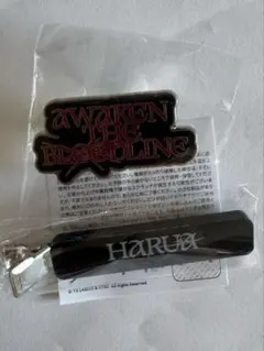 &TEAM ポップアップガチャ ヘアクリップ HARUA ハルア　ピンズ