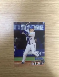 2026年最新】プロ野球チップス1999の人気アイテム - メルカリ