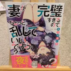 妻が完璧すぎるので、ちょっと乱していいですか?