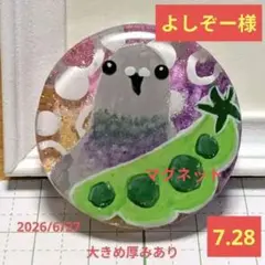 よしぞー様 7.28 鳩 レジンヘアゴム 鳩と豆 今日も豆は美味しいね〜38