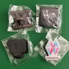 【新品/未開封】w-inds. メモリアルピンバッジ　4点set