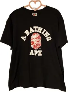 Item thumbnail for item 2bbf51ef-1461-4009-9a11-42b257d0f72c