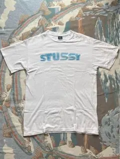 即購入OK❗️ 激レア商品❗️紺タグUSA製 90s OLD STUS