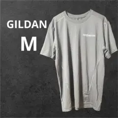 GILDAN パフォーマンス Tシャツ M PDR HAILTEAM