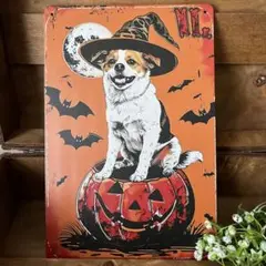 ブリキ看板　ハロウィン　犬