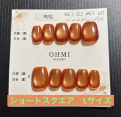 OHMI ネイルチップ マグネット