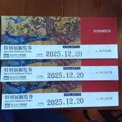 特別展観覧券 3枚セット 2025年12月20日期限
