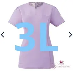 Item thumbnail for item 06b5a248-1694-46f2-8936-630b6c994ecf