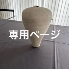 超希少品】サハラ砂漠のバオバブの実 - メルカリ