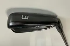 2025年最新】ピンツアー173-85の人気アイテム - メルカリ