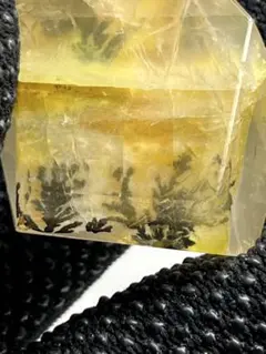 ゴールデンヒーラー　プレート　大 ゴールデンヒーラー プレート 大