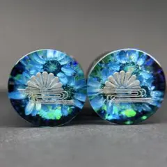 水中花　ナンバーボルト　菊水のサムネイル