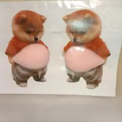 柴犬　お腹犬ぷにぷにシール　2枚セット　オレンジ色の服