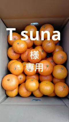 津之輝10㎏(家庭用)T suna様専用