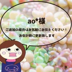 ao*様
