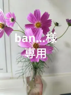 おまとめ2点