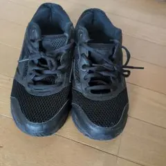 Item thumbnail for item bb8bd859-cc43-4520-8c2d-b954161623f1