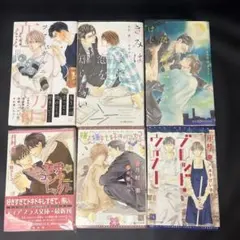 月村奎　bl小説　6冊まとめ売り