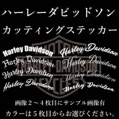 Item thumbnail for item aaa1dcc1-f9ea-4cbe-a40a-c808e444a2b7