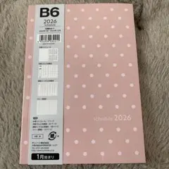 Item thumbnail for item d1caee55-08f4-4acc-bb5e-71243e74966b