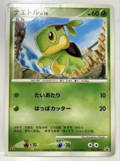 ナエトル PROMO DPプロモーションカード 027/DP-P マックコラボ