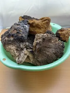 2026年最新】カバノアナタケの人気アイテム - メルカリ