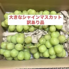 少し色白カット品 】【明日10/5発送】長野県産クイーンセブン 約1 kg