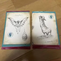Mystery postcard ファンタスティックビースト