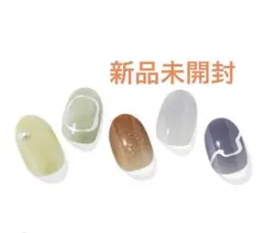 【新品未開封】ohora ネイルシール　 N Breezing Day