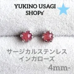 シン様 リクエスト 2点 まとめ商品