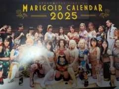 山田奈保 マリーゴールド エラーカード 直筆サイン無し トレカ MARIGOLD メルカリ
