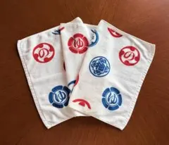 ゆず　ゆずのみ　タオル　ライブ