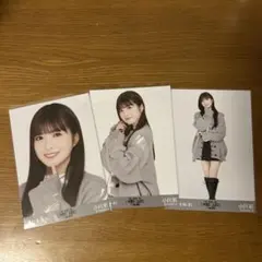 ひめたんの隠しミートボール様 リクエスト 2点 まとめ商品