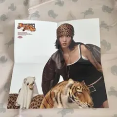 TWICE ten: the story goes on モモ ポスター　5