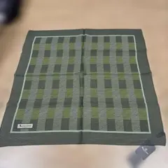 【限定値下デッドストック未使用タグ付】Aquascutum高級シルクスカーフ緑系のサムネイル