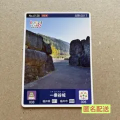 ロゲットカード 福井県立恐竜博物館 - メルカリ