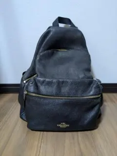 レディース中古品COACH レザーリュック 黒