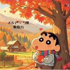 メル (*'▽'*)様 リクエスト 5点 専用(1)